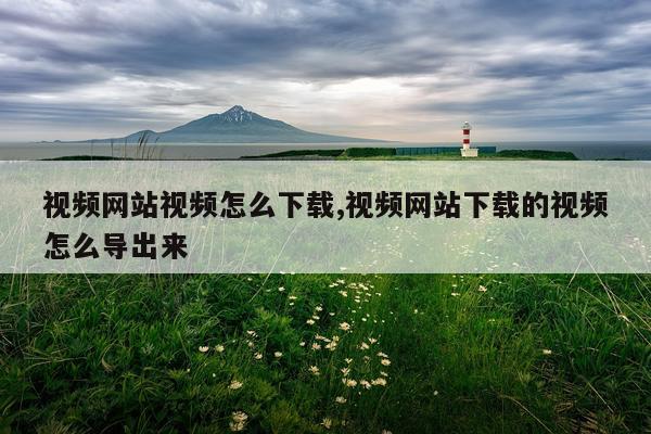 视频网站视频怎么下载,视频网站下载的视频怎么导出来