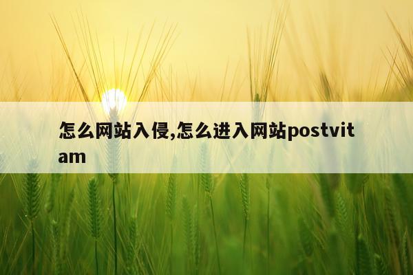怎么网站入侵,怎么进入网站postvitam