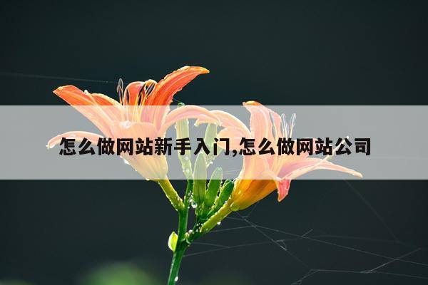 怎么做网站新手入门,怎么做网站公司