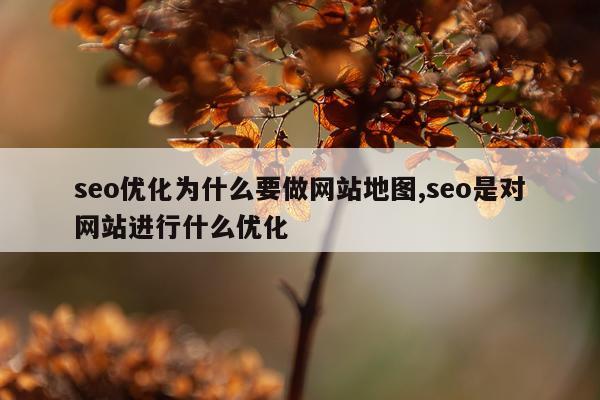 seo优化为什么要做网站地图,seo是对网站进行什么优化