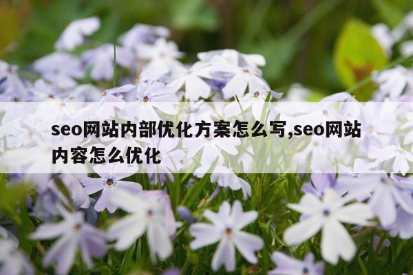 seo网站内部优化方案怎么写,seo网站内容怎么优化