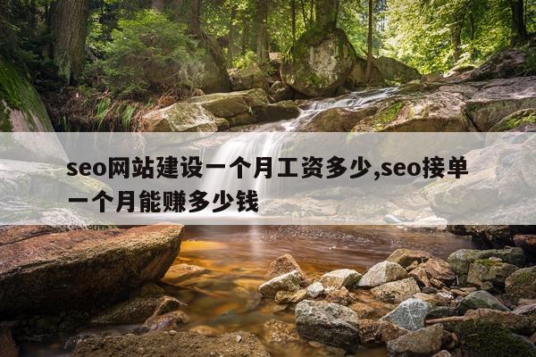 seo网站建设一个月工资多少,seo接单一个月能赚多少钱