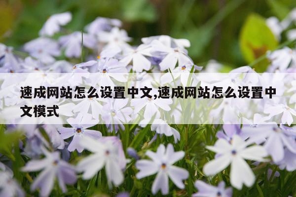 速成网站怎么设置中文,速成网站怎么设置中文模式