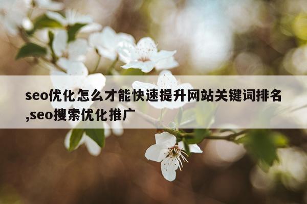 seo优化怎么才能快速提升网站关键词排名,seo搜索优化推广