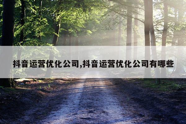 抖音运营优化公司,抖音运营优化公司有哪些