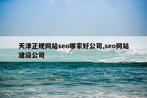 天津正规网站seo哪家好公司,seo网站建设公司