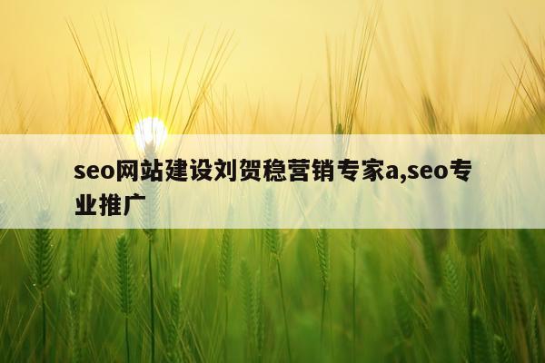 seo网站建设刘贺稳营销专家a,seo专业推广