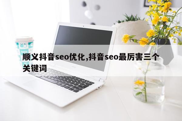 顺义抖音seo优化,抖音seo最厉害三个关键词