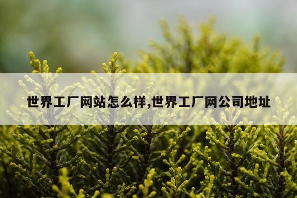 世界工厂网站怎么样,世界工厂网公司地址