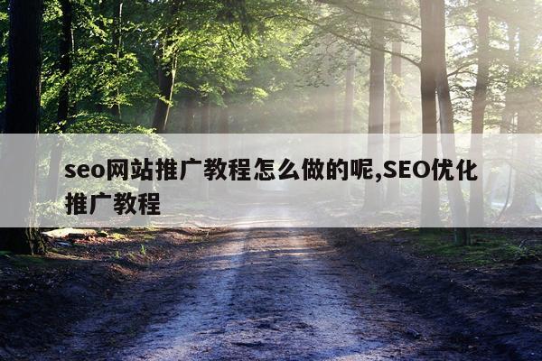 seo网站推广教程怎么做的呢,SEO优化推广教程