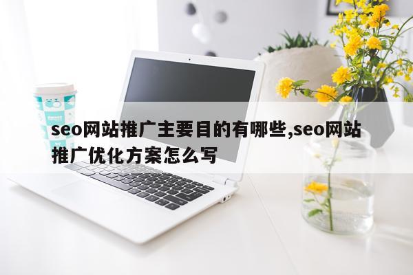 seo网站推广主要目的有哪些,seo网站推广优化方案怎么写