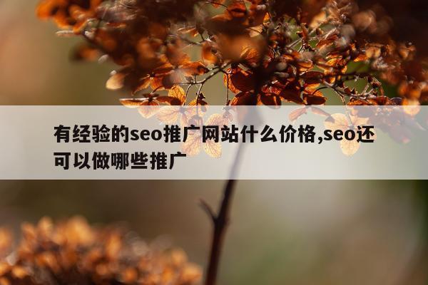 有经验的seo推广网站什么价格,seo还可以做哪些推广
