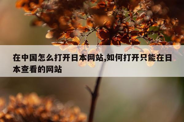 在中国怎么打开日本网站,如何打开只能在日本查看的网站