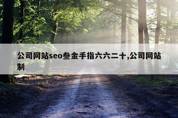 公司网站seo叁金手指六六二十,公司网站制