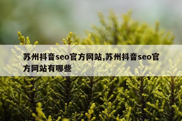 苏州抖音seo官方网站,苏州抖音seo官方网站有哪些