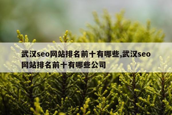 武汉seo网站排名前十有哪些,武汉seo网站排名前十有哪些公司