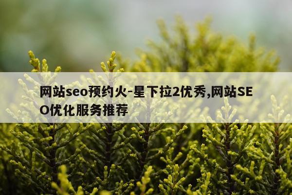 网站seo预约火-星下拉2优秀,网站SEO优化服务推荐