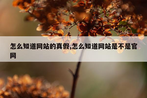 怎么知道网站的真假,怎么知道网站是不是官网