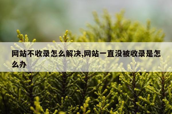 网站不收录怎么解决,网站一直没被收录是怎么办