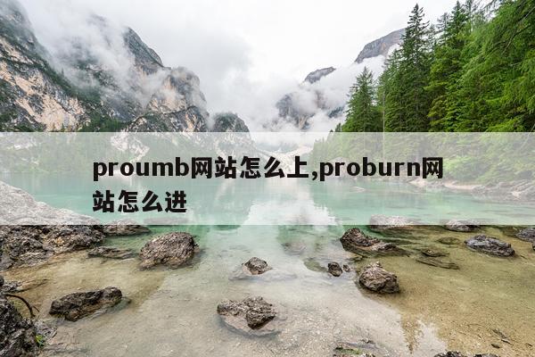 proumb网站怎么上,proburn网站怎么进