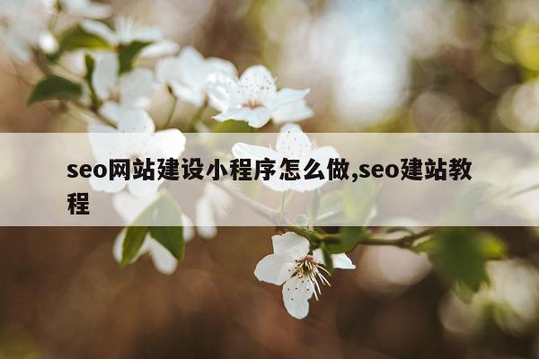seo网站建设小程序怎么做,seo建站教程