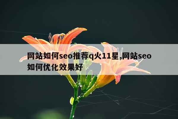 网站如何seo推荐q火11星,网站seo如何优化效果好