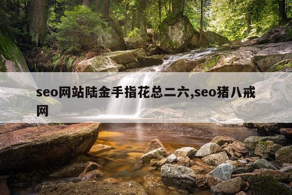 seo网站陆金手指花总二六,seo猪八戒网