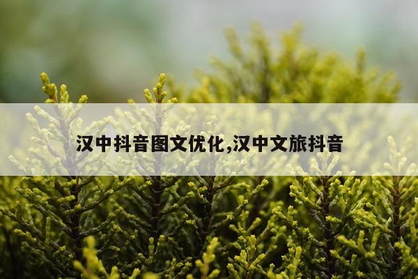 汉中抖音图文优化,汉中文旅抖音
