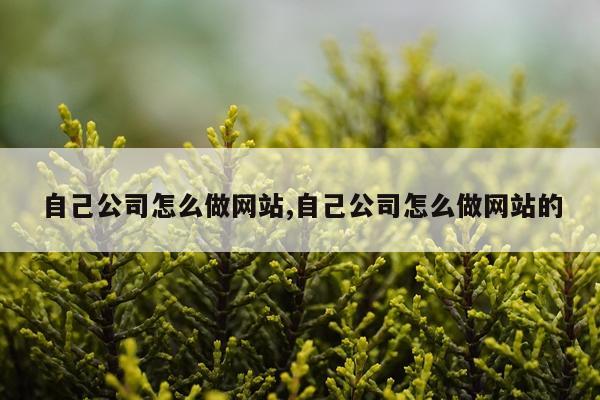 自己公司怎么做网站,自己公司怎么做网站的