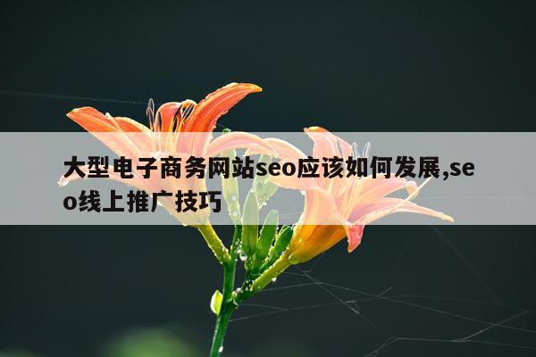 大型电子商务网站seo应该如何发展,seo线上推广技巧