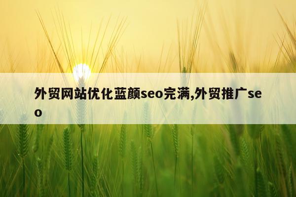 外贸网站优化蓝颜seo完满,外贸推广seo
