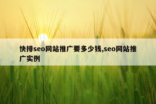 快排seo网站推广要多少钱,seo网站推广实例