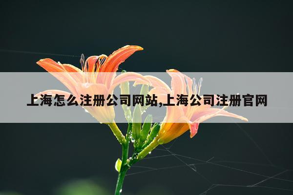上海怎么注册公司网站,上海公司注册官网