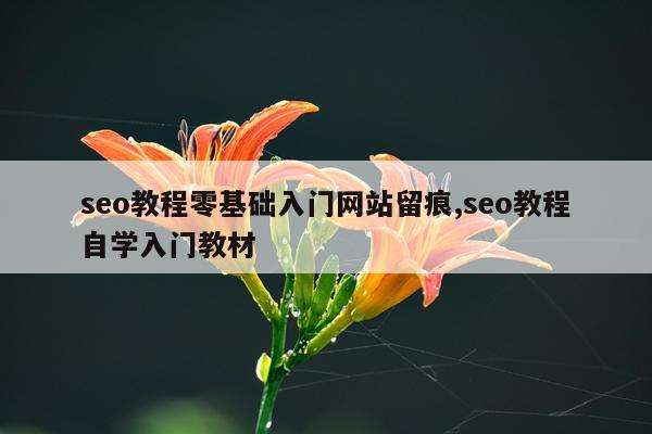 seo教程零基础入门网站留痕,seo教程自学入门教材