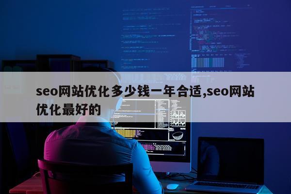 seo网站优化多少钱一年合适,seo网站优化最好的