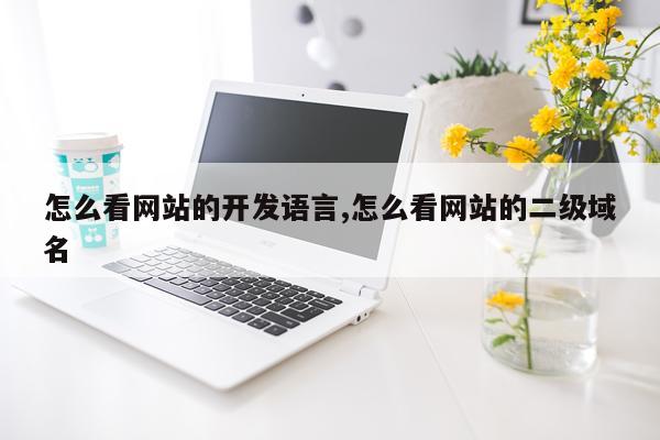怎么看网站的开发语言,怎么看网站的二级域名