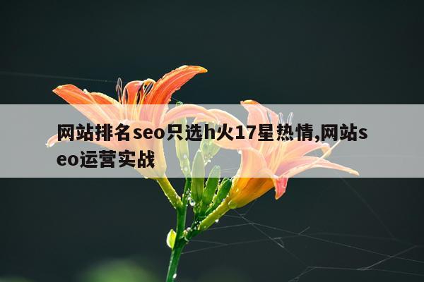 网站排名seo只选h火17星热情,网站seo运营实战