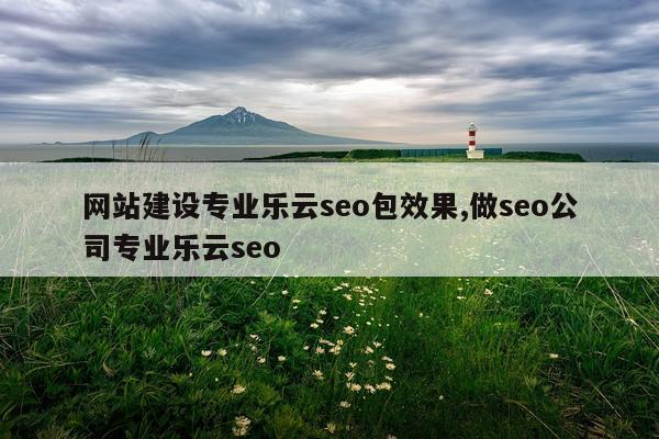 网站建设专业乐云seo包效果,做seo公司专业乐云seo