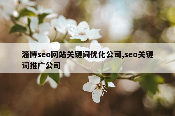 淄博seo网站关键词优化公司,seo关键词推广公司