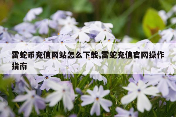 雷蛇币充值网站怎么下载,雷蛇充值官网操作指南