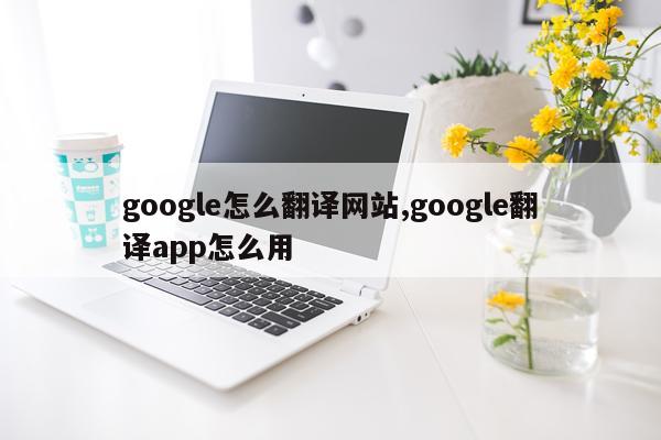 google怎么翻译网站,google翻译app怎么用