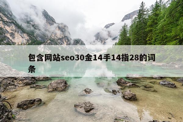 包含网站seo30金14手14指28的词条