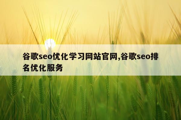 谷歌seo优化学习网站官网,谷歌seo排名优化服务