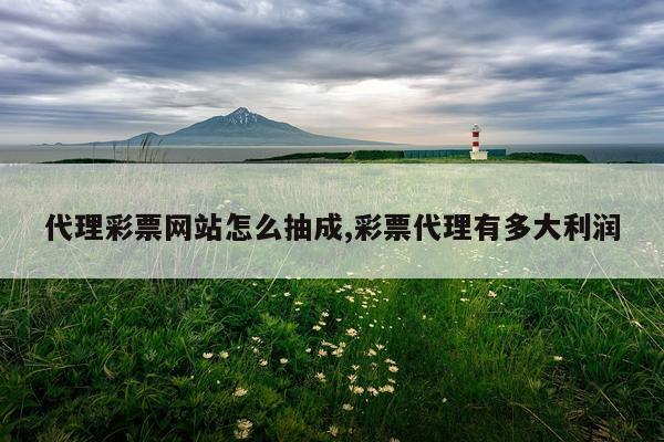 代理彩票网站怎么抽成,彩票代理有多大利润
