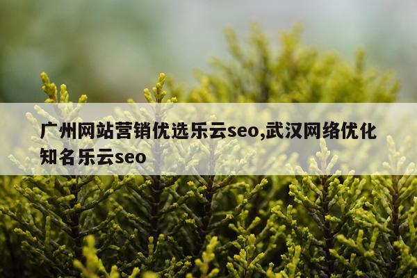 广州网站营销优选乐云seo,武汉网络优化知名乐云seo