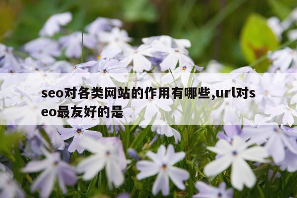 seo对各类网站的作用有哪些,url对seo最友好的是