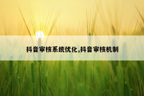 抖音审核系统优化,抖音审核机制