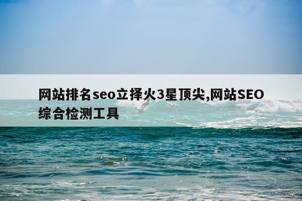 网站排名seo立择火3星顶尖,网站SEO综合检测工具