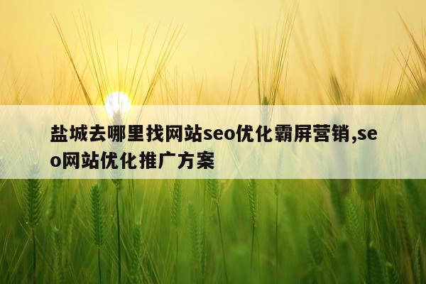 盐城去哪里找网站seo优化霸屏营销,seo网站优化推广方案