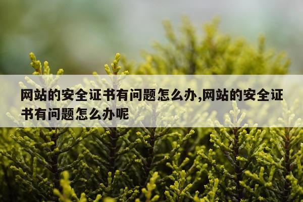 网站的安全证书有问题怎么办,网站的安全证书有问题怎么办呢